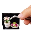 Picture of Rose Flower Decoration with two Pots