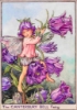 Picture of Pillbox "Canterbury Bell Fairy"