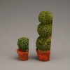 Picture of Boxwood duo