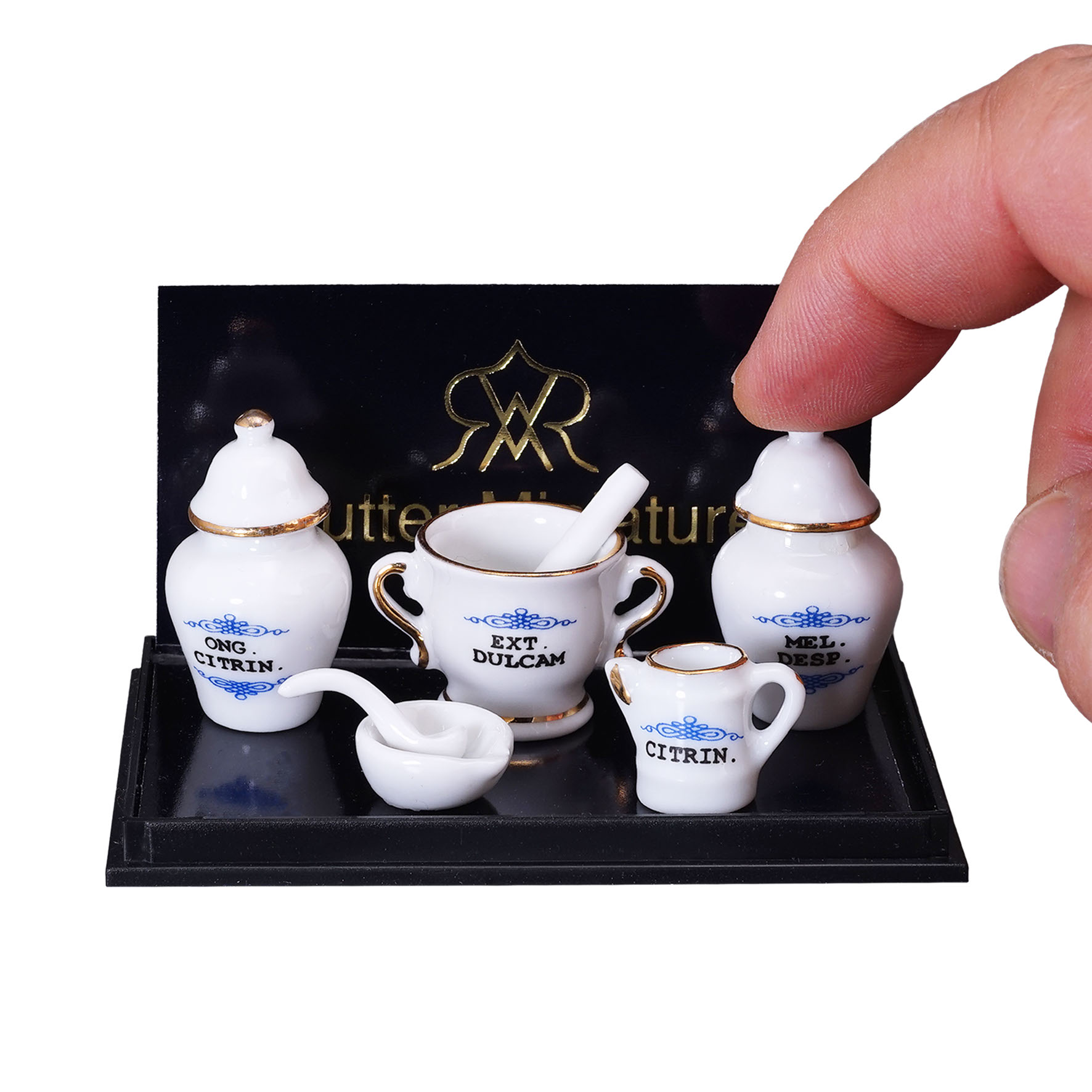 Onlineshop der Reutter Miniaturen GmbH.Medicinal formulation - set of 5 ...