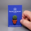 Bild von Kleiner Buchsbaum