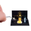Bild von Gin Tonic Glas mit Zitronen und Gin Flaschen