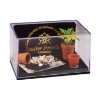 Picture of Place for Planting with Flower pots, Flowers, and Newspaper