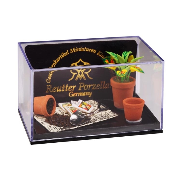 Picture of Place for Planting with Flower pots, Flowers, and Newspaper