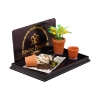Picture of Place for Planting with Flower pots, Flowers, and Newspaper