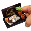 Picture of Place for Planting with Flower pots, Flowers, and Newspaper