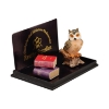 Picture of Book Owl with two Books and an Owl